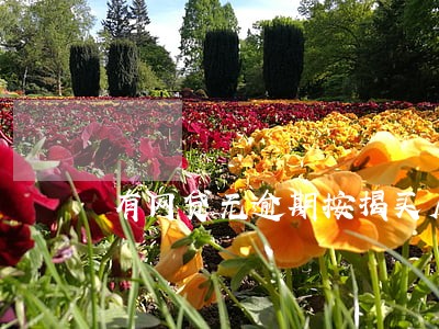 有网贷无逾期按揭买房 有网贷无逾期按揭买房