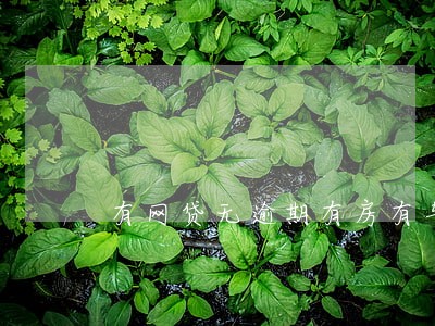 有网贷无逾期有房有车 有网贷无逾期有房有车