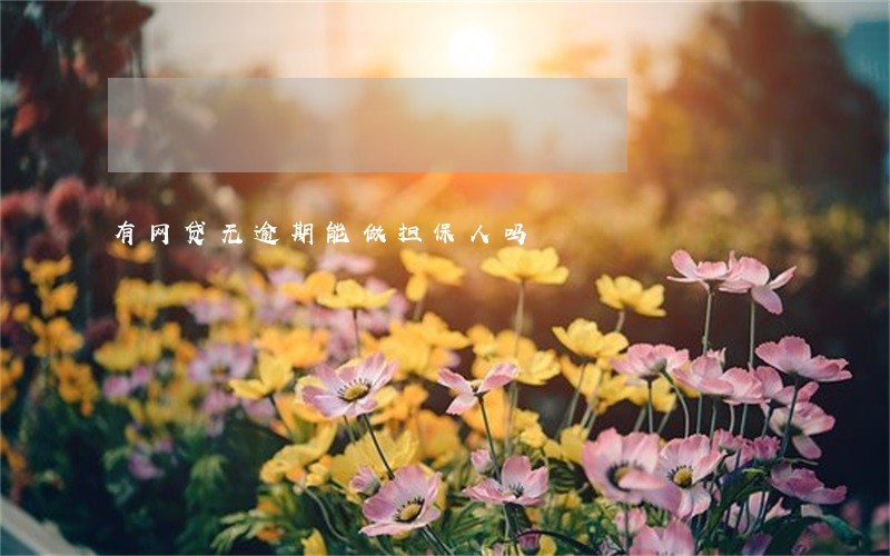 有网贷无逾期能做担保人吗 有网贷无逾期能做担保人吗