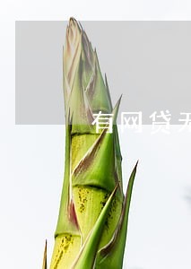 有网贷无逾期能贷款吗 有网贷无逾期能贷款吗