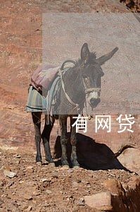 有网贷有逾期能买车吗 有网贷有逾期能买车吗