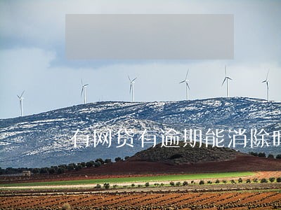有网贷有逾期能消除吗