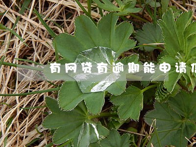 有网贷有逾期能申请信用卡吗 有网贷有逾期能申请信用卡吗