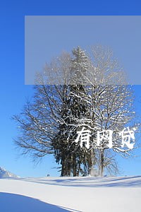 有网贷有逾期还能贷的平台 有网贷有逾期还能贷的平台