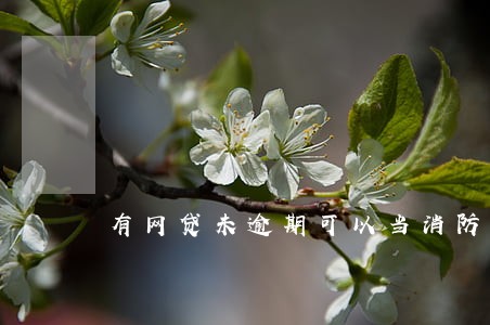 有网贷未逾期可以当消防员吗 有网贷未逾期可以当消防员吗