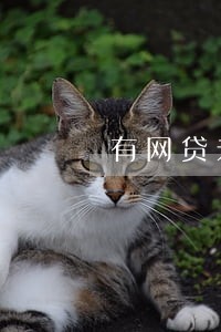 有网贷未逾期影响公积金办理吗 有网贷未逾期影响公积金办理吗