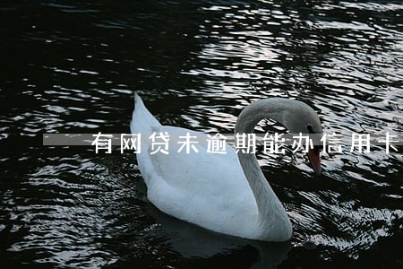 有网贷未逾期能办信用卡吗