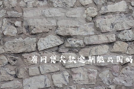 有网贷欠款逾期能出国吗 有网贷欠款逾期能出国吗