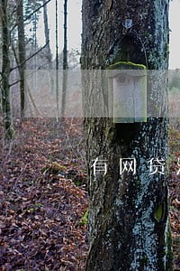有网贷没有过逾期买房会有影响吗 有网贷没有过逾期买房会有影响吗