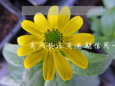 有网贷没有逾期信用卡被拒绝