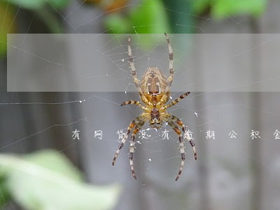 有网贷没有逾期公积金贷款 有网贷没有逾期公积金贷款