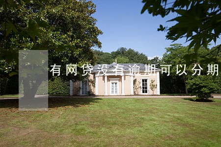 有网贷没有逾期可以分期手机吗 有网贷没有逾期可以分期手机吗