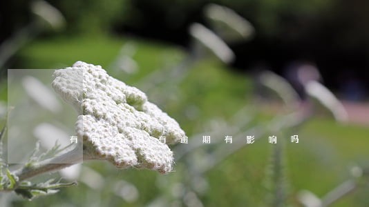 有网贷没有逾期有影响吗 有网贷没有逾期有影响吗