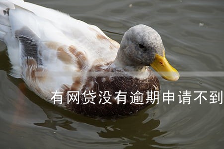有网贷没有逾期申请不到信用卡 有网贷没有逾期申请不到信用卡
