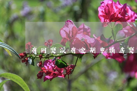 有网贷没有逾期申请房贷 有网贷没有逾期申请房贷