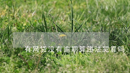 有网贷没有逾期算违法犯罪吗 有网贷没有逾期算违法犯罪吗
