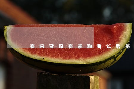 有网贷没有逾期考公务员 有网贷没有逾期考公务员
