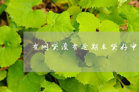 有网贷没有逾期车贷好审批吗 有网贷没有逾期车贷好审批吗