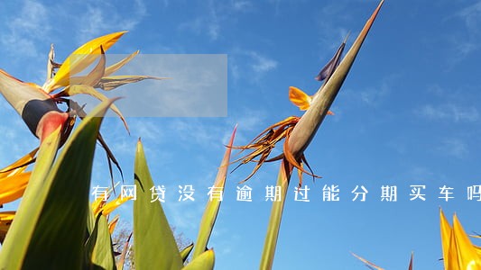 有网贷没有逾期过能分期买车吗 有网贷没有逾期过能分期买车吗