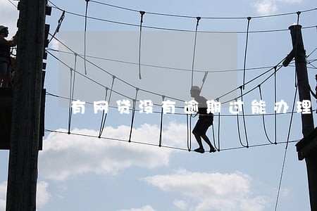 有网贷没有逾期过能办理车贷吗 有网贷没有逾期过能办理车贷吗