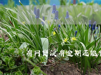 有网贷没有逾期还能贷款吗 有网贷没有逾期还能贷款吗