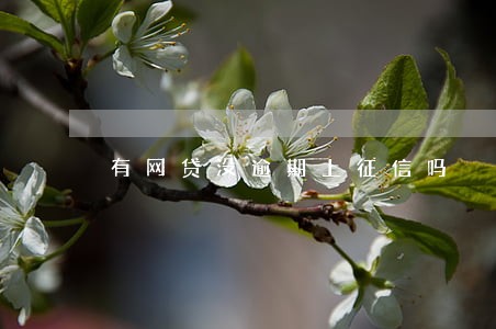 有网贷没逾期上征信吗 有网贷没逾期上征信吗
