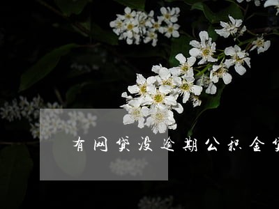 有网贷没逾期公积金贷款 有网贷没逾期公积金贷款