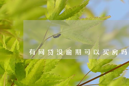 有网贷没逾期可以买房吗 有网贷没逾期可以买房吗
