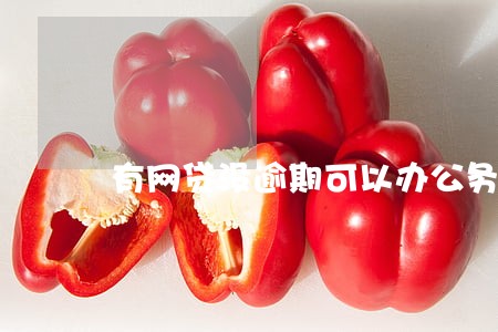 有网贷没逾期可以办公务卡吗 有网贷没逾期可以办公务卡吗