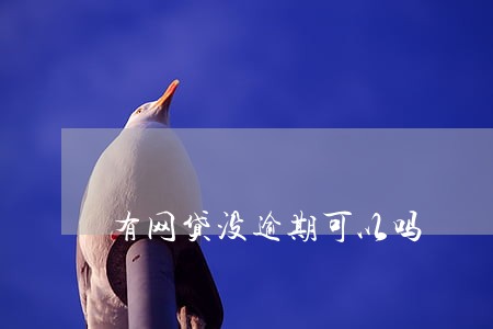 有网贷没逾期可以吗 有网贷没逾期可以吗