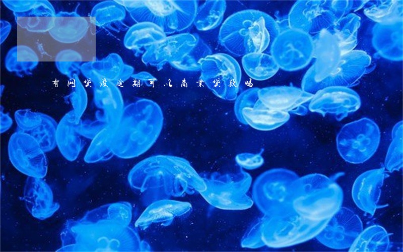 有网贷没逾期可以商业贷款吗 有网贷没逾期可以商业贷款吗