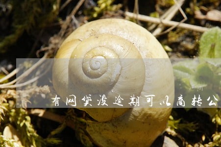 有网贷没逾期可以商转公么 有网贷没逾期可以商转公么