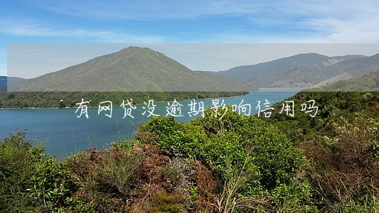 有网贷没逾期影响信用吗 有网贷没逾期影响信用吗