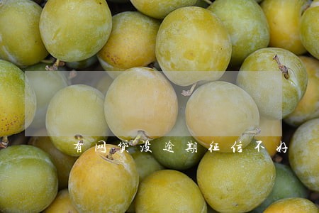 有网贷没逾期征信不好 有网贷没逾期征信不好