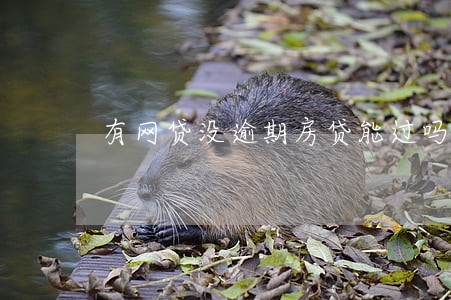 有网贷没逾期房贷能过吗