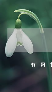 有网贷没逾期能不能办网贷 有网贷没逾期能不能办网贷