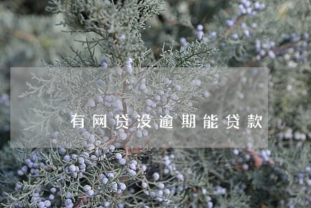有网贷没逾期能贷款