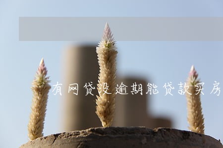 有网贷没逾期能贷款买房吗 有网贷没逾期能贷款买房吗