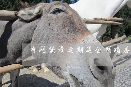 有网贷没逾期过会影响房贷吗 有网贷没逾期过会影响房贷吗