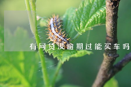 有网贷没逾期过能买车吗