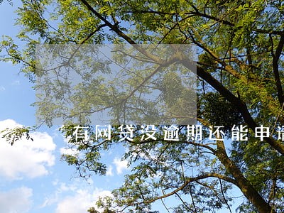 有网贷没逾期还能申请吗 有网贷没逾期还能申请吗