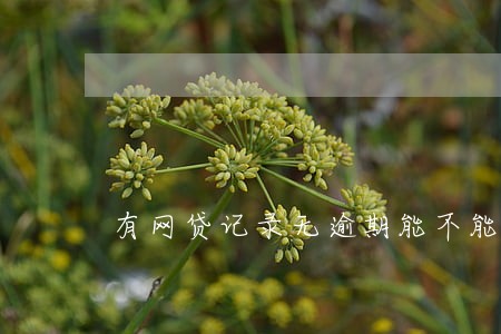 有网贷记录无逾期能不能贷款买房 有网贷记录无逾期能不能贷款买房