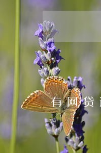 有网贷逾期3年之后可以办车贷吗 有网贷逾期3年之后可以办车贷吗