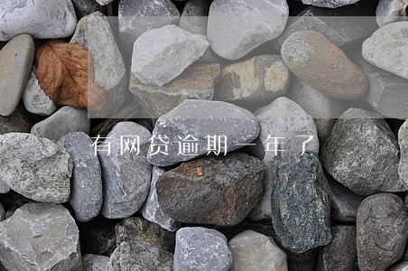 有网贷逾期一年了 有网贷逾期一年了