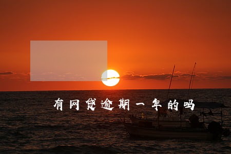 有网贷逾期一年的吗