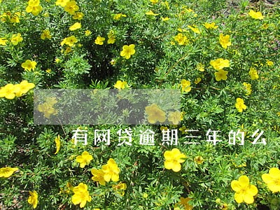 有网贷逾期三年的么 有网贷逾期三年的么
