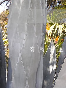 有网贷逾期不接电话的吗 有网贷逾期不接电话的吗
