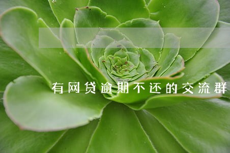 有网贷逾期不还的交流群吗 有网贷逾期不还的交流群吗