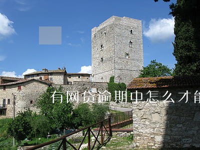 有网贷逾期中怎么才能保住房子 有网贷逾期中怎么才能保住房子