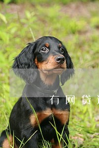 有网贷逾期为什么还能下信用卡
